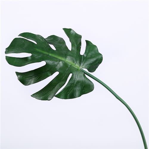 Artificial Cheese Plant Leaves